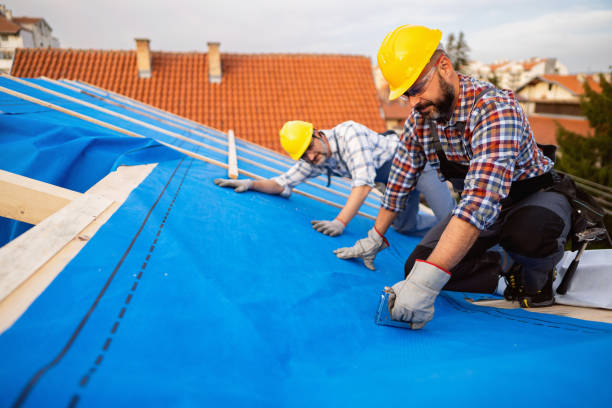 Best Roof Insulation Installation  in Knightsen, CA